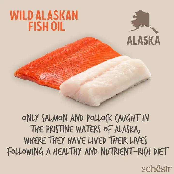 Schesir Grizzly Wild Alaskan Fish Oil Omega Plus 500ml (3).webp