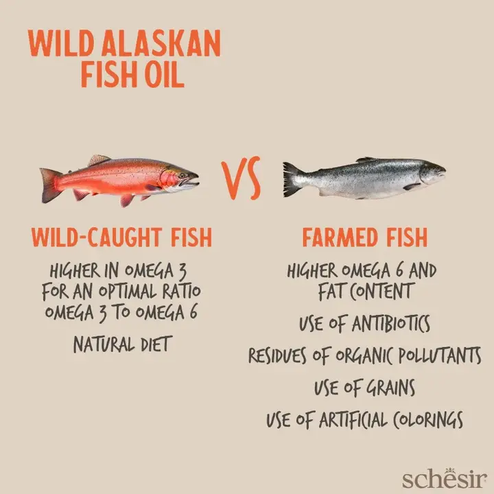 Schesir Grizzly Wild Alaskan Fish Oil Omega Plus 500ml (2).webp