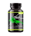 [8904218172165] Horizone Eagle Shrimp Algae Food - 100ml.webp