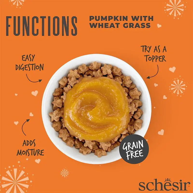 Schesir Functions Cat Pouch Digestive Topper Pumpkin With Wheat Grass 40g (Min Order- 12 Pouch) (2).webp