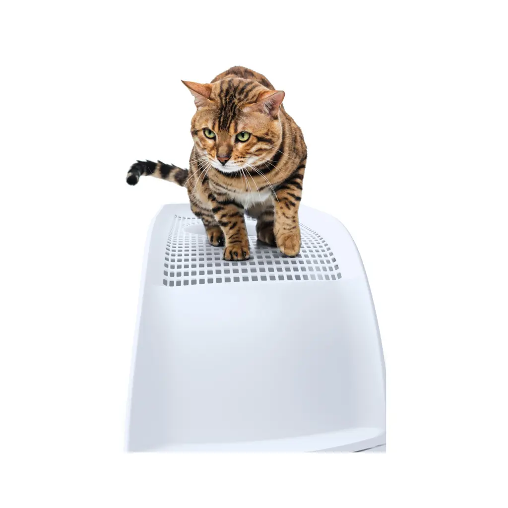 IMAC FRIDA Cat Toilets 40x56x43.5cm- Green (6).webp