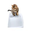 IMAC FRIDA Cat Toilets 40x56x43.5cm- Green (6).webp
