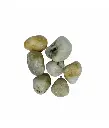 [INDP25KG-P2] Indian Stone Aquarium Pebbles - Stones - Rocks - Gravel - P2 - 25 KG.webp