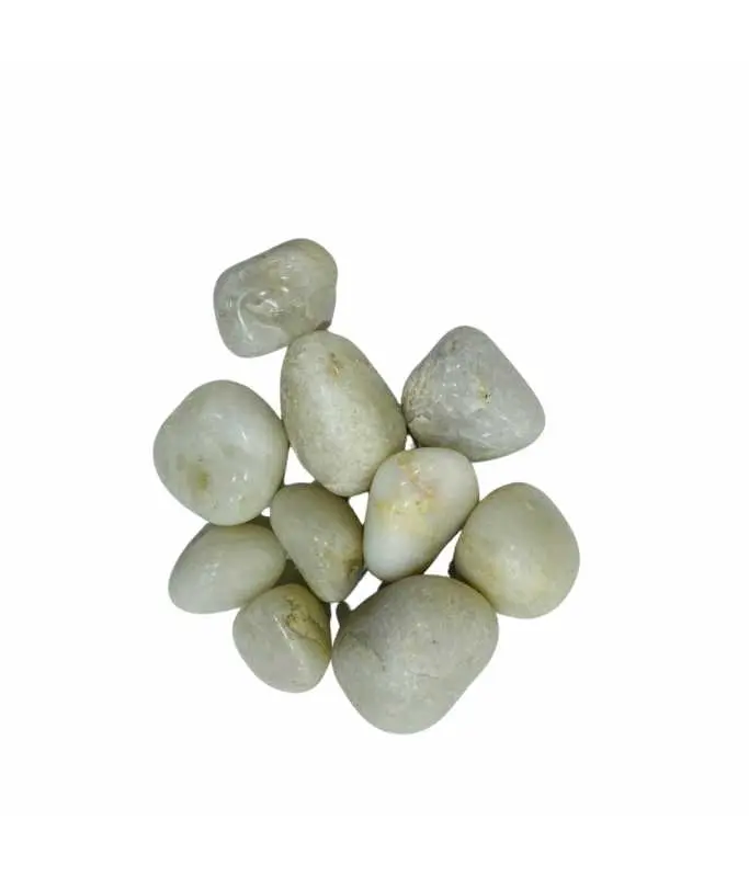 [INDP25KG-PS1] Indian Stone Aquarium Pebbles - Stones - Rocks - Gravel - PS1 - 25 KG (1).webp