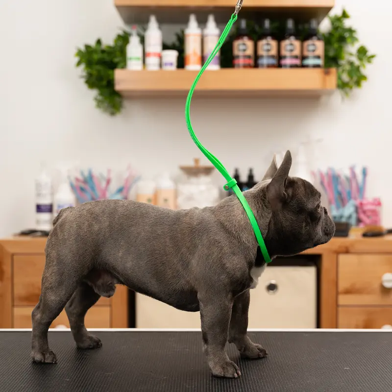 Jelly Pet Grooming Loop 3-8'' x24''[Color - Maroon].webp