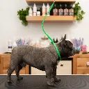 Jelly Pet Grooming Loop 3-8'' x24''[Color - Maroon].webp