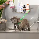 Jelly Pet Grooming Loop 3-8'' x24''[Color - Maroon] (3).webp