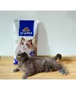 kitty-choice-kitty-choice-pure-natural-bentonite-clumping-cat-litter-mixed-fragrance-20kg-715736_360x.webp
