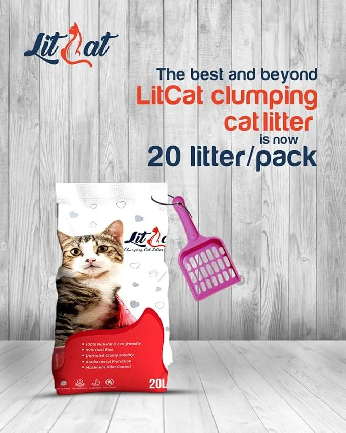 71Na5CfD0dL._AC_SX679_ (1).webp