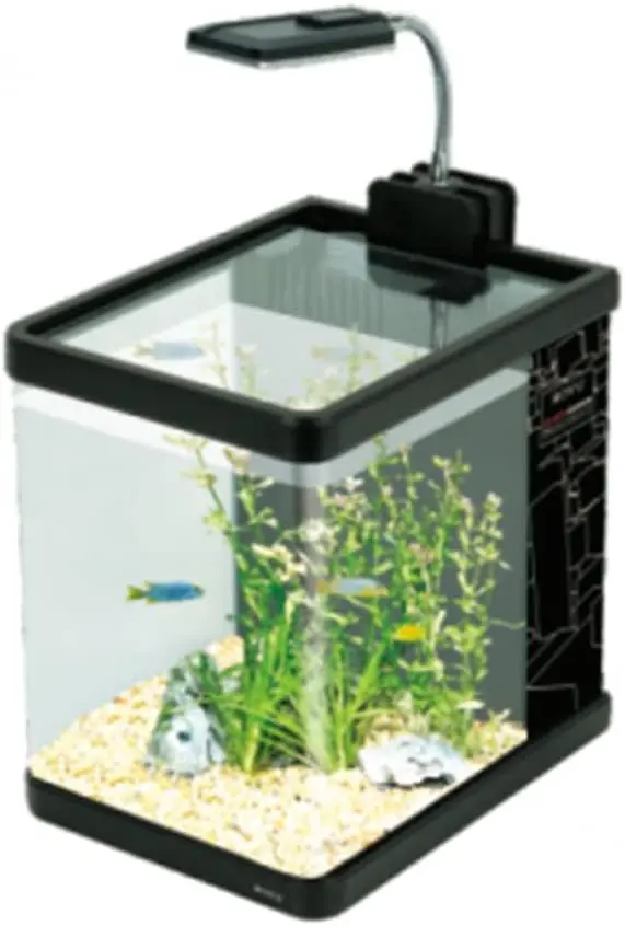 51kATjB38CL._AC_SX679_.webp