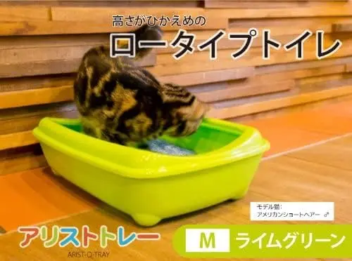 41xLalaSRqL._AC_.webp
