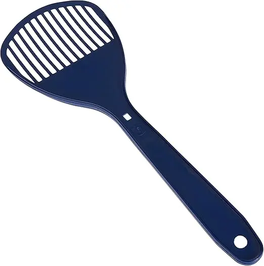 71fh0KZujVL._AC_SX522_.webp