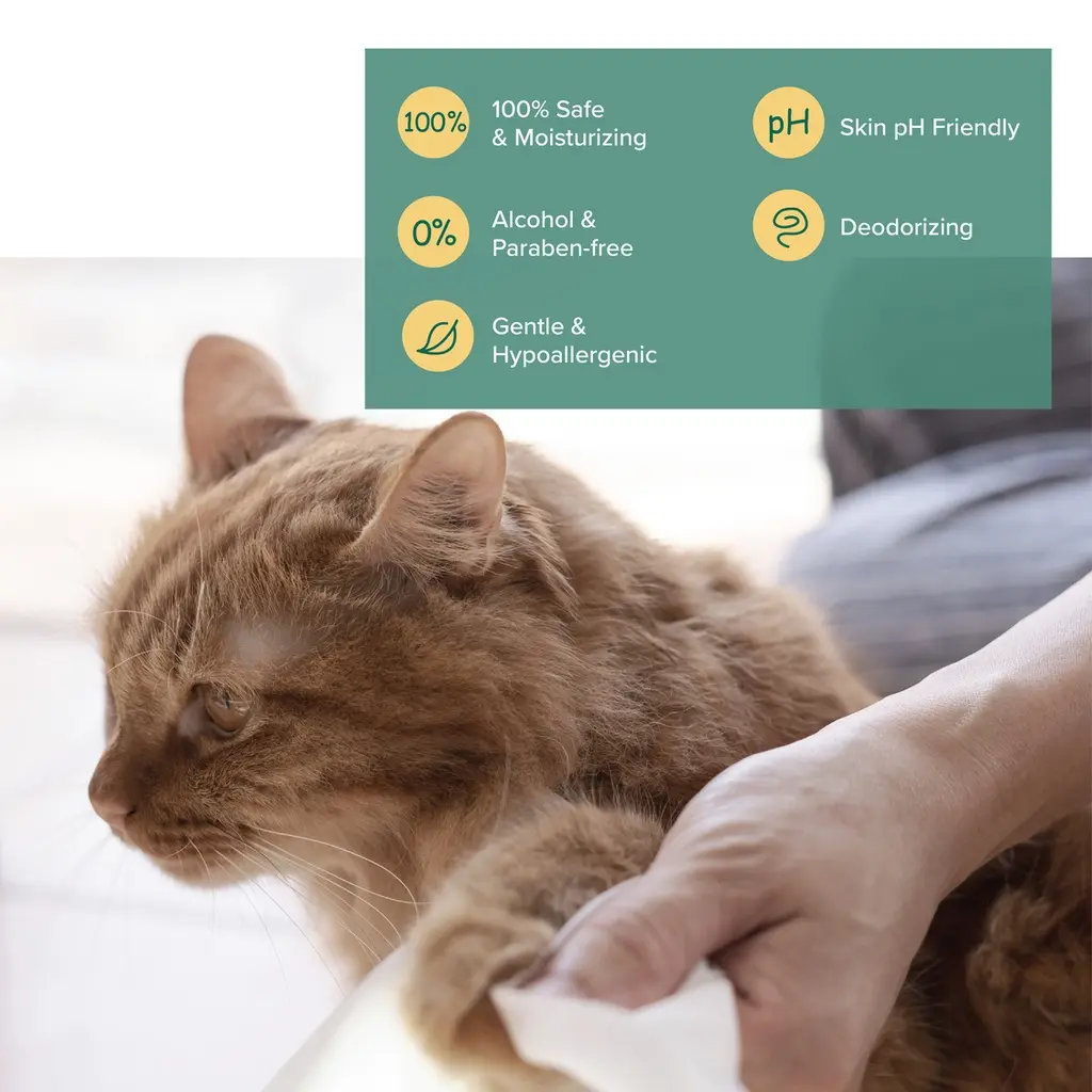 NurturePro AG+ Silver Pet Wet Wipes -Coconut (10 Sheets- Pack)  - Min Order _ 6packs-Box (2).webp