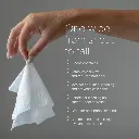NurturePro AG+ Silver Pet Wet Wipes -Coconut (10 Sheets- Pack)  - Min Order _ 6packs-Box (3).webp