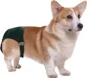 8886467530357.webp