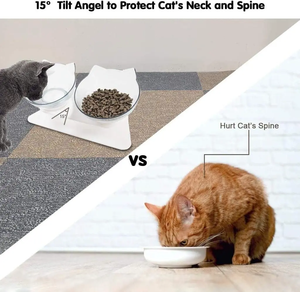 Pado Pet Feeding Bowl (6).webp