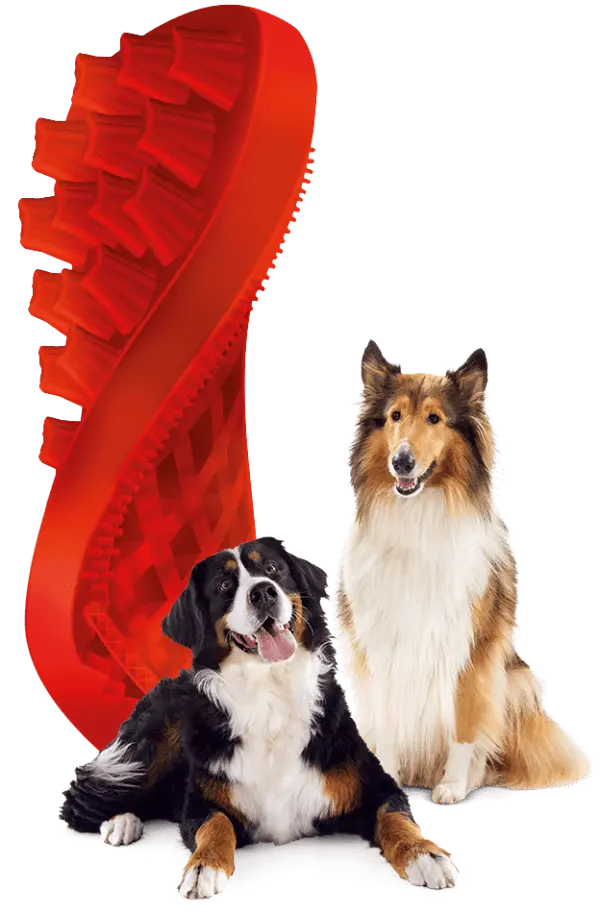 red-brush-with-animals-600x914.webp