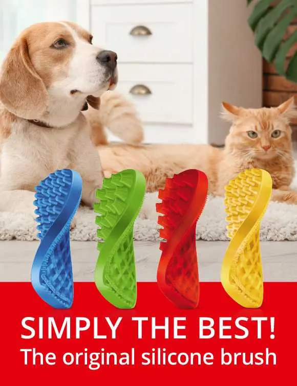 Pet+Me Medium Silicone Brush for Short or Silky Longhair Dog(Yellow) (1).webp