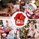 Seasopet Christmas Outfit 25x35cm -Small (1).webp