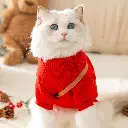 Seasopet Christmas Outfit 25x35cm -Small (3).webp