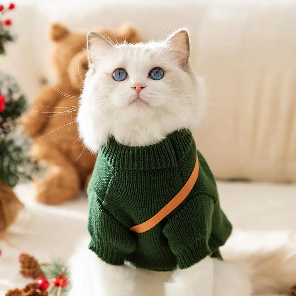 Seasopet Cute Christmas Outfit 25x35cm -Small (2).webp