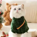 Seasopet Cute Christmas Outfit 25x35cm -Small (2).webp