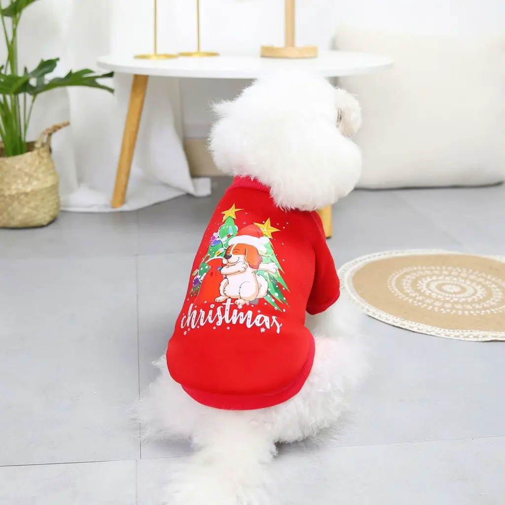 Seasopet X-mas Dress - 25x37 cm Small.webp