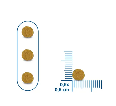 Seven Cats Cat Food For Kitten - Chicken & Beef [Immune Boost] 10kg+100g.webp