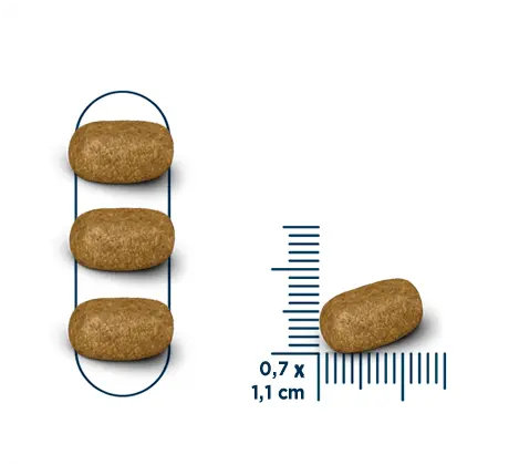 Seven Dogs Dog Food For Adult - Small And Mini Breeds-Beef & Chicken 10 kg+100g.webp