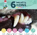 Synergy Labs Dental Fresh Original Formula- Dog & Cat 1 gallon - 3.79 L (1).webp