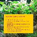 81V2H6fo9KL._AC_SX679_.webp