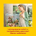 71KWz6joj-L._AC_SX679_.webp