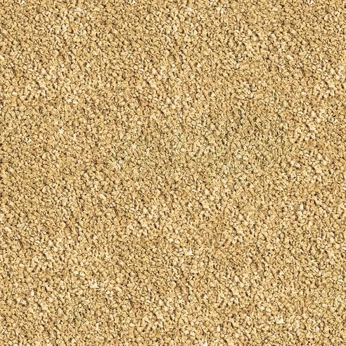 81eI5mV3nkL._AC_SX679_.webp