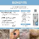 Synergy Labs Veterinary Formula Clinical Care Flea & Tick Shampoo 473ml (5).webp