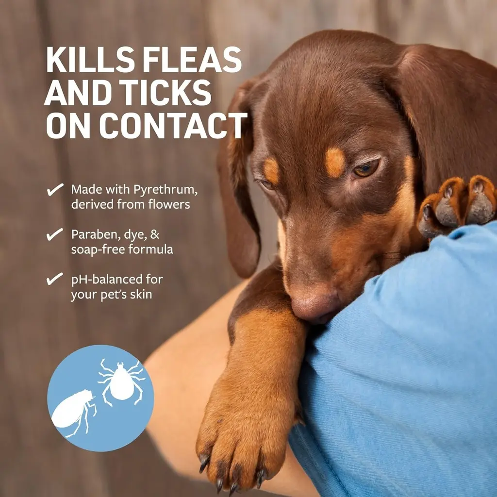 Synergy Labs Veterinary Formula Clinical Care Flea & Tick Shampoo 473ml (4).webp