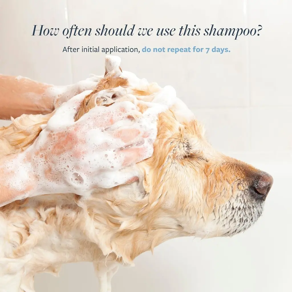 Synergy Labs Veterinary Formula Clinical Care Flea & Tick Shampoo 473ml (3).webp