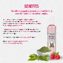 Synergy Labs Veterinary Formula Gloss and Glide Detangler, Shine Builder & Conditioner 8 oz -236 ml.webp