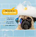 Synergy Labs Veterinary Formula Solutions Puppy Love Extra Gentle & Tearless Shampoo 17oz - 503ml (3).webp