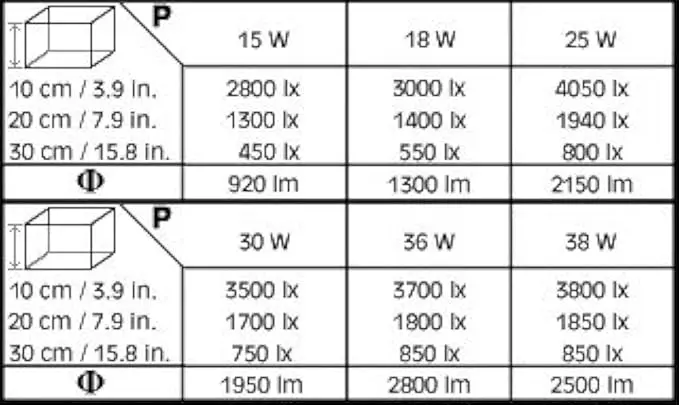 61ajV9GfpDL._AC_SX679_.webp