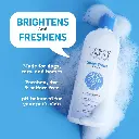 Synergy Labs Veterinary Formula Solutions Snow White Shampoo 17oz - 503ml (1).webp