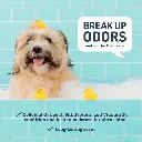 Synergy Labs Veterinary Formula Solutions Soothing & Deodorizing Oatmeal Shampoo 17oz - 503ml (2).webp