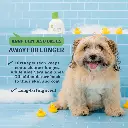 Synergy Labs Veterinary Formula Solutions Triple Strength Dirty Dog Concentrated Shampoo 17oz - 503ml (2).webp
