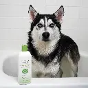 Synergy Labs Veterinary Formula Solutions Triple Strength Dirty Dog Concentrated Shampoo 17oz - 503ml (5).webp