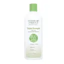[FG01842] Synergy Labs Veterinary Formula Solutions Triple Strength Dirty Dog Concentrated Shampoo 17oz - 503ml.webp