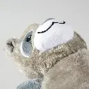 BB.webp