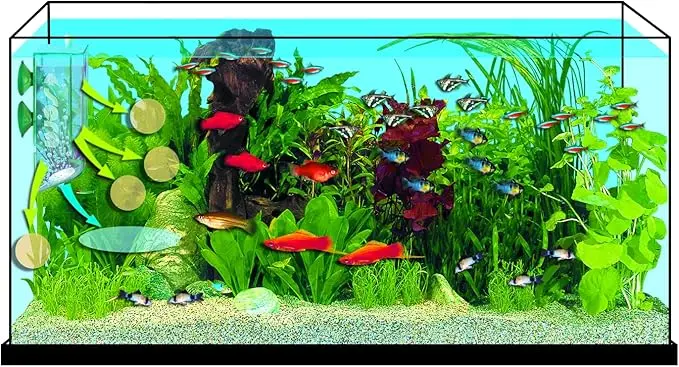 81plKkxh9RL._AC_SX679_.webp