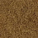 sera_Discus_Granulat_Nature_Detail.webp