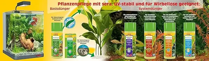 81glmVlHeOL._AC_SX679_.webp