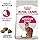ROYAL CANIN.webp