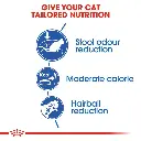 feline-health-nutrition-indoor-2-kg-570094(1).webp